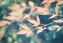 瑞典队全队共同努力，实现逆转取得胜利