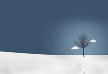 目标进账！射手榜新王登基