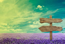 国安客场不敌泰达遗憾失利