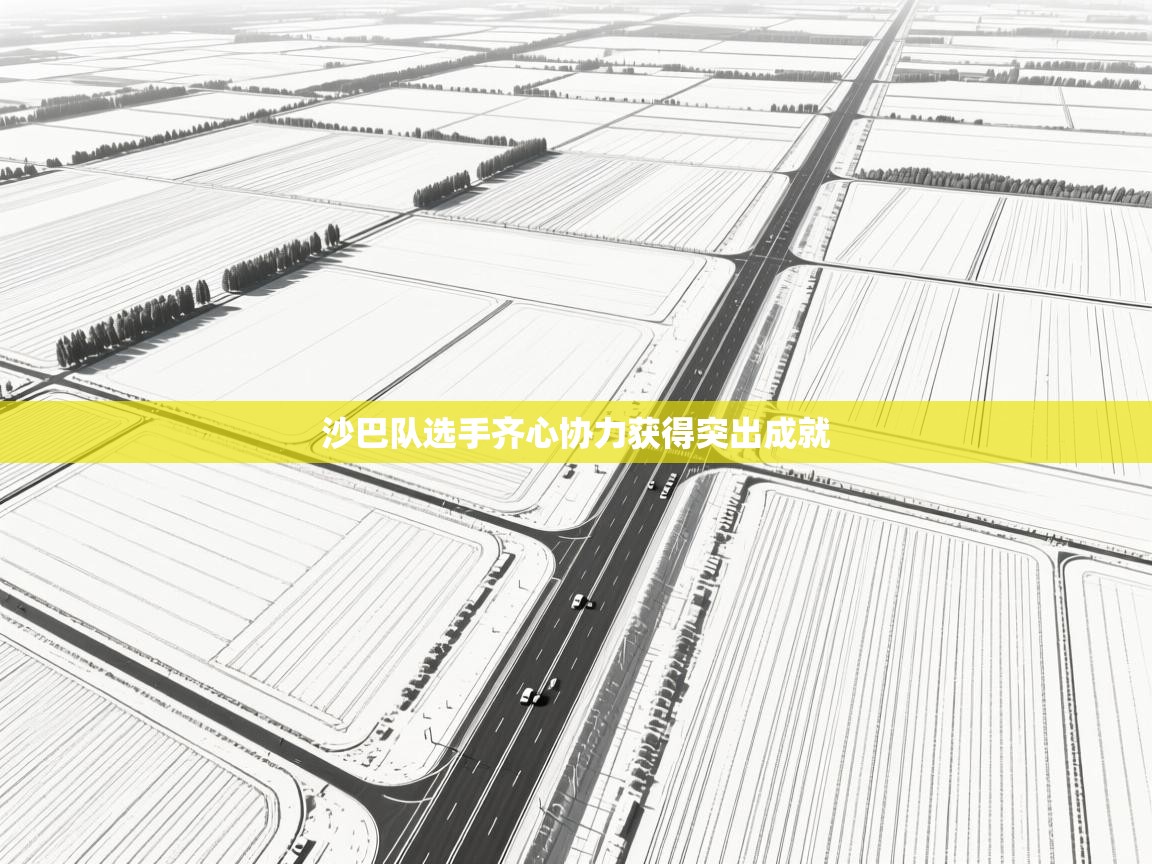 沙巴队选手齐心协力获得突出成就 第1张