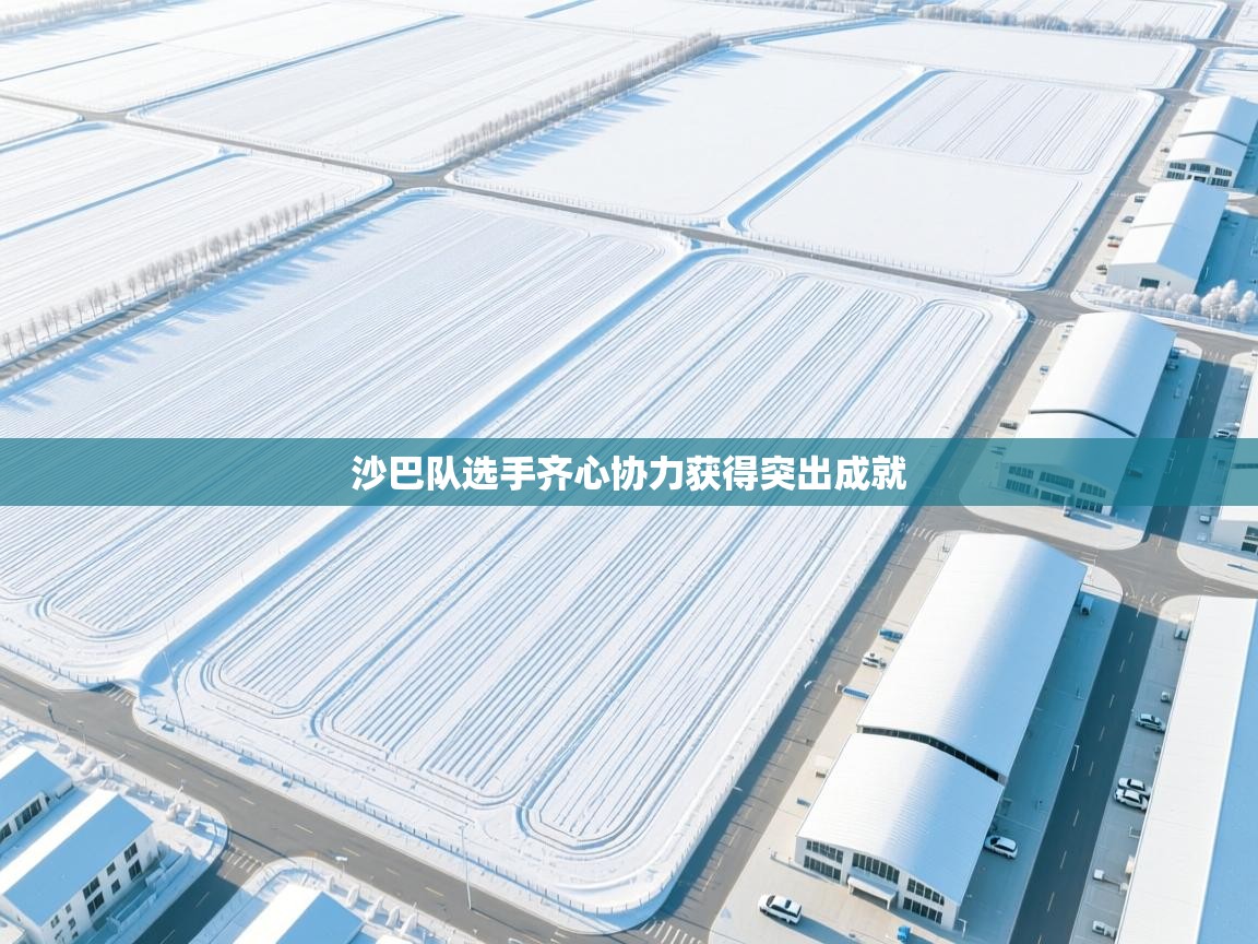 沙巴队选手齐心协力获得突出成就 第2张