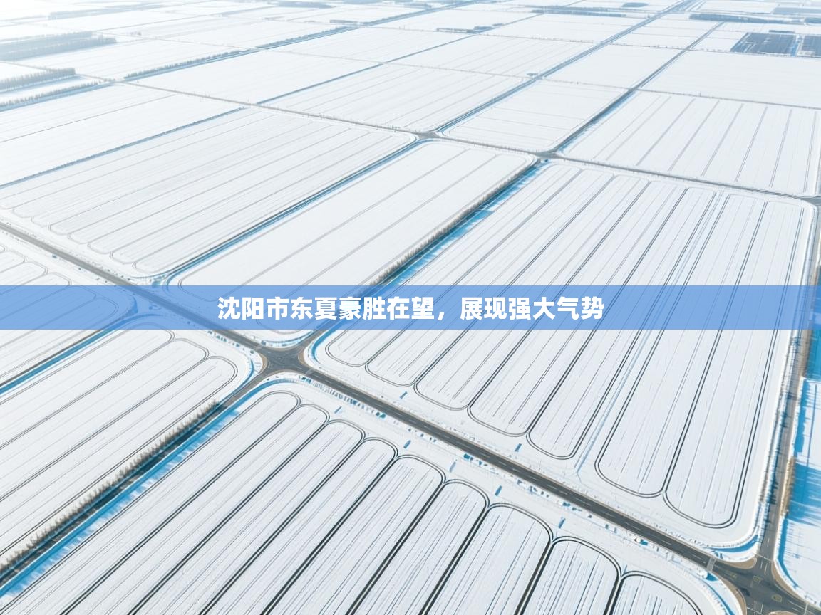 沈阳市东夏豪胜在望,展现强大气势 第1张